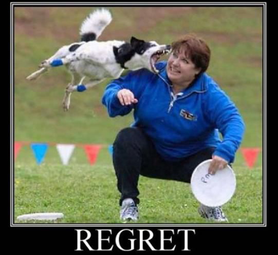 Regret- Dog Trainer Poster