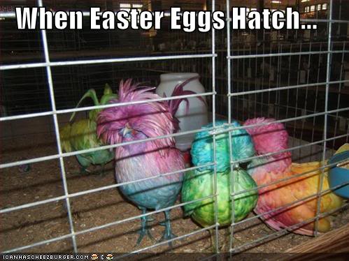 eastereggs