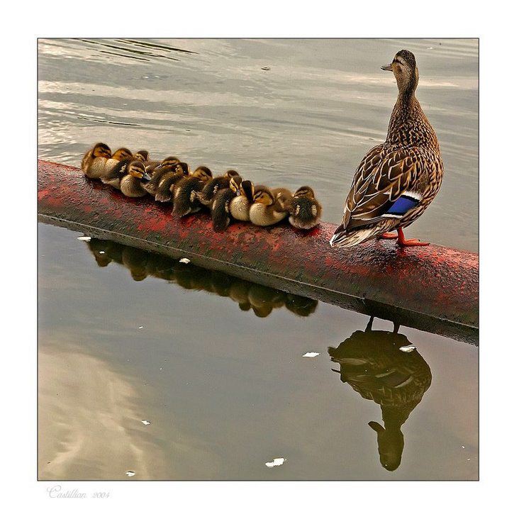 Cute mom and family