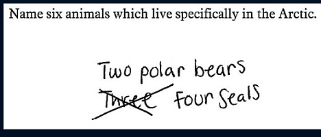 funny exam answers - 6