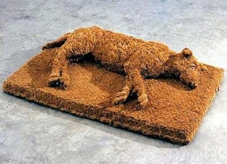 sleeping dog-doormat